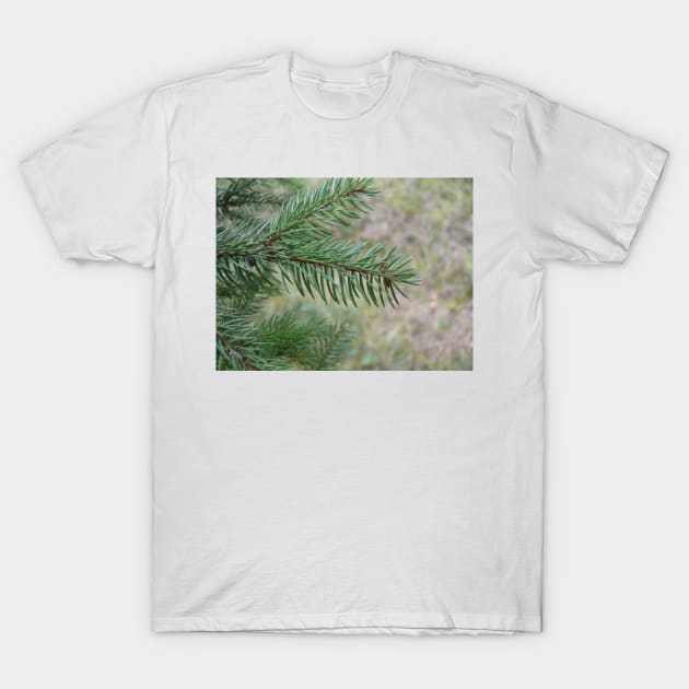 Spruce T-Shirt by NatureFan